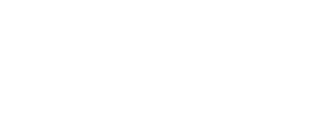 Sriwijaya Marine
